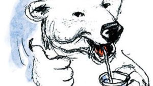 gracias-polar1 gracias-polar1