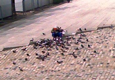 El hombre de las palomas...