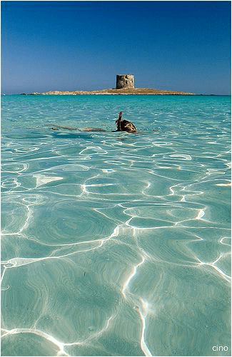 Crónica de vacaciones