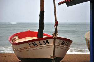 1510476_10202734351492963_1567555324_n