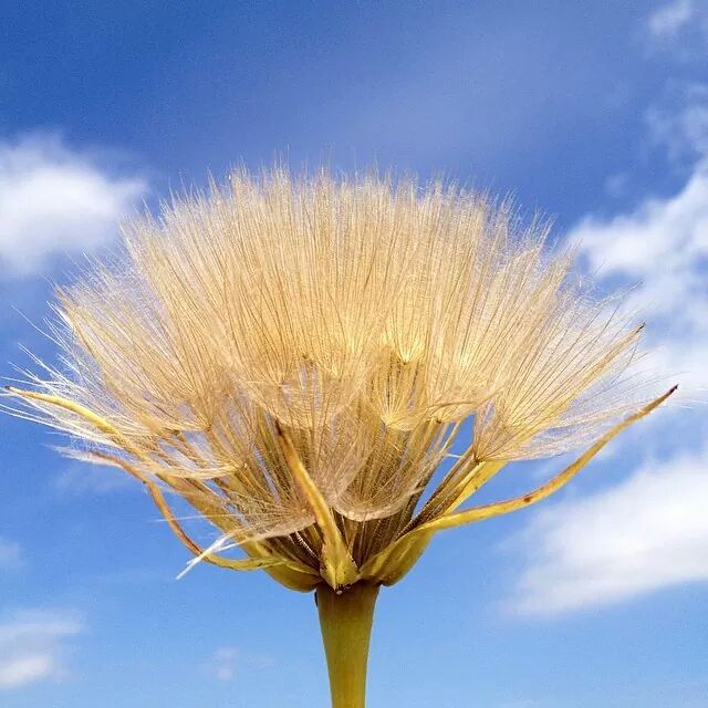 IMG_78181586421658.jpeg image