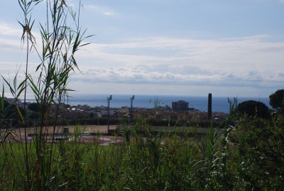 Embarazo después del tratamiento del&nbsp;cáncer