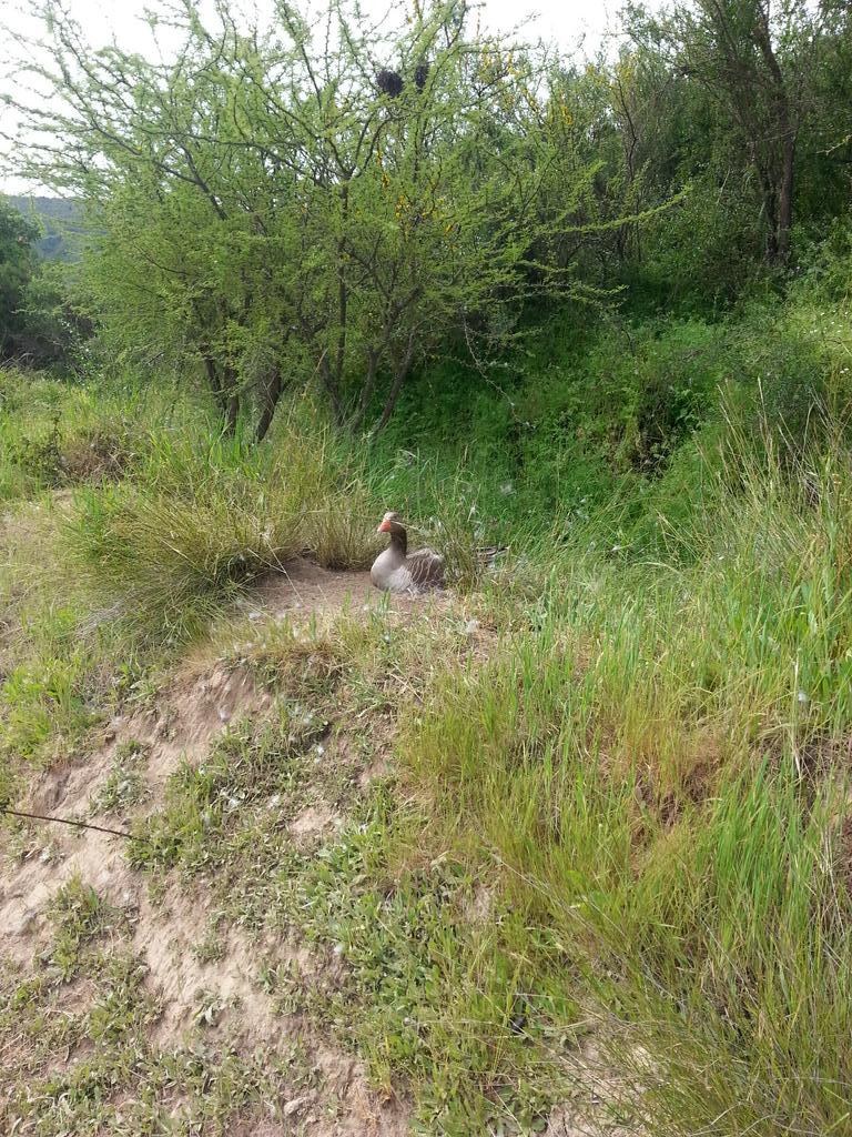 Genética y Cáncer.