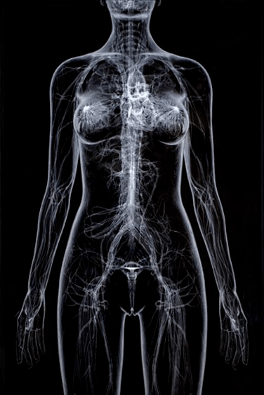 Creencias y juicios en&nbsp;medicina
