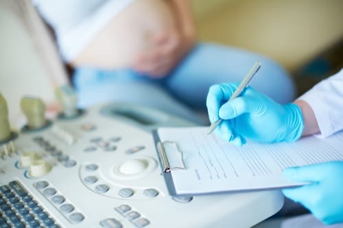 WHO issues new Zika updates | Contemporary&nbsp;OBGYN