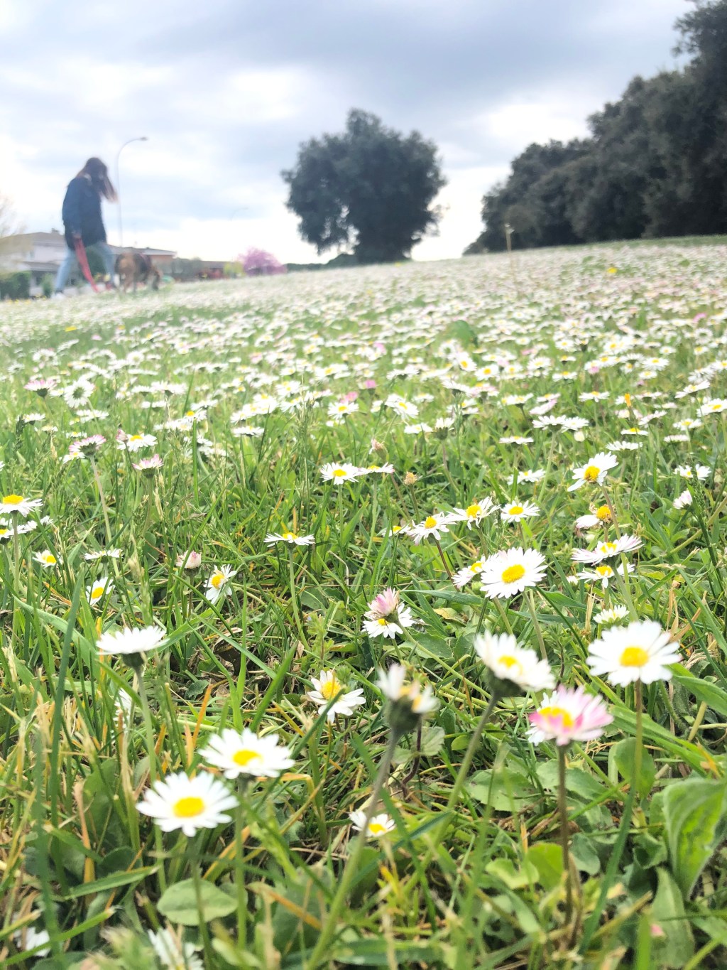 Prevención del cáncer