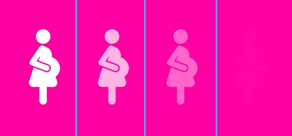 Causas de mortalidad&nbsp;fetal