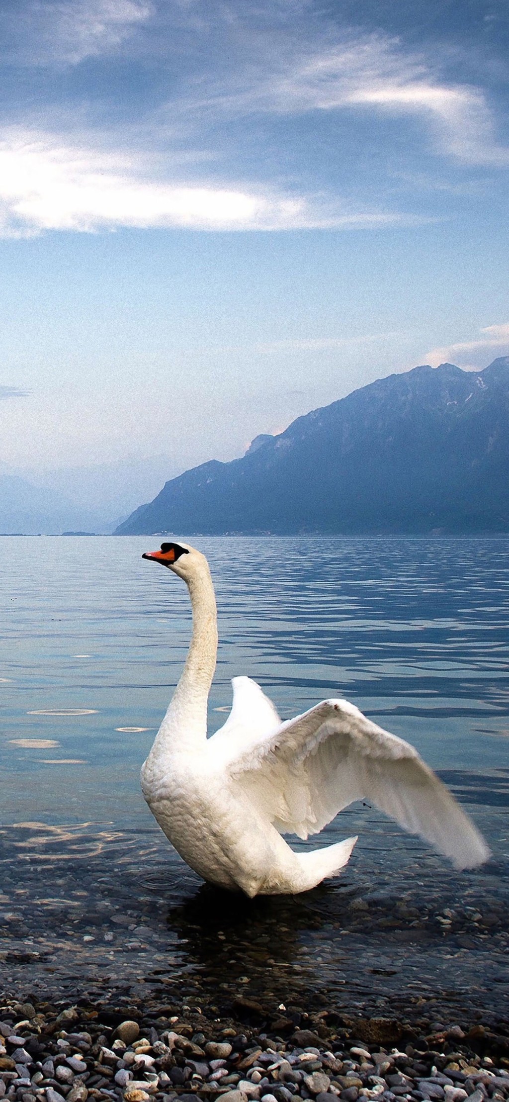 Seguridad de los&nbsp;probióticos