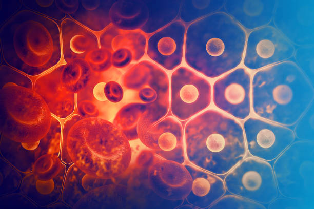 Auto toma de citología en casa.