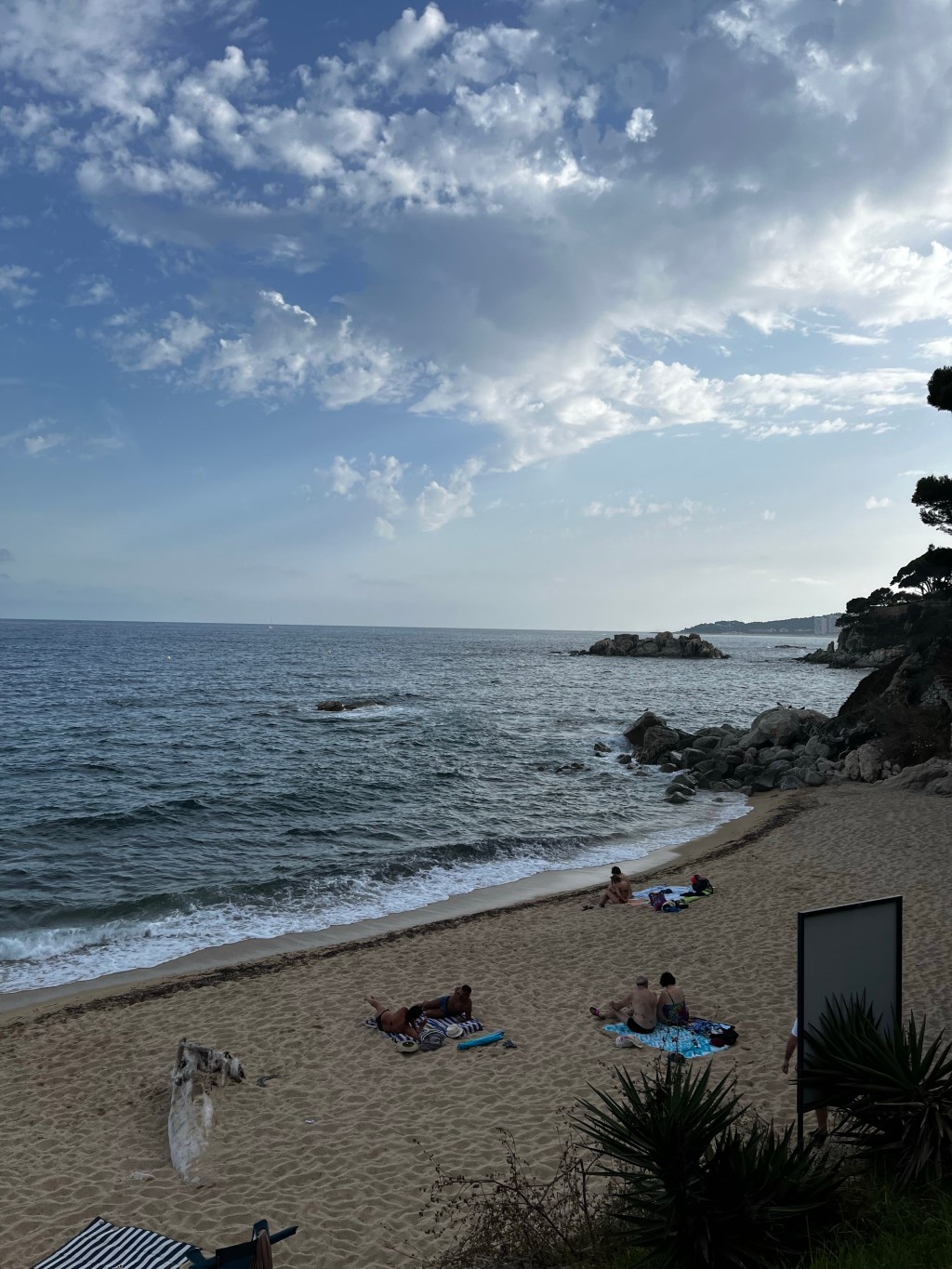 Los plásticos, en la comida y en el&nbsp;aire