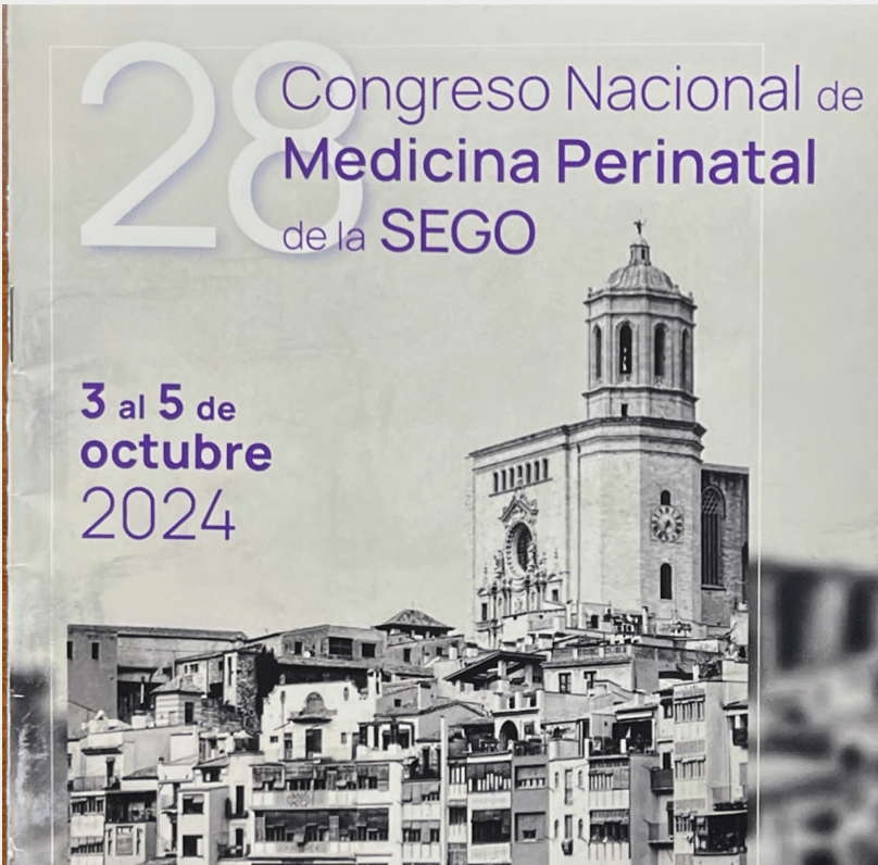 28 Congreso de Medicina Perinatal de la&nbsp;SEGO