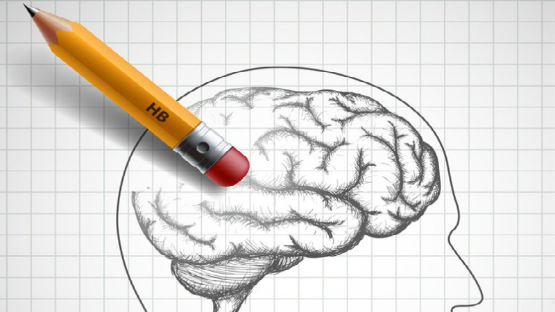Nuevas Estrategias para la Prevención del Riesgo de&nbsp;Demencia