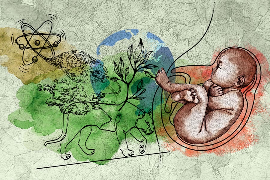 Lecciones de vida…